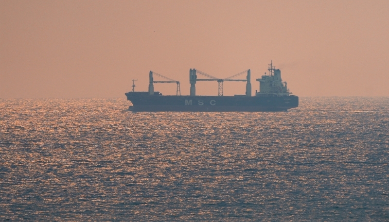 A Mediterranean Shipping Company (MSC) ship is being seen on the coastal line in Colombo, Sri Lanka, on 24 April 2024.
