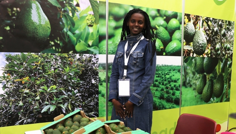 A stand at the second Africa Avocado Congress in Nairobi in May 2023.