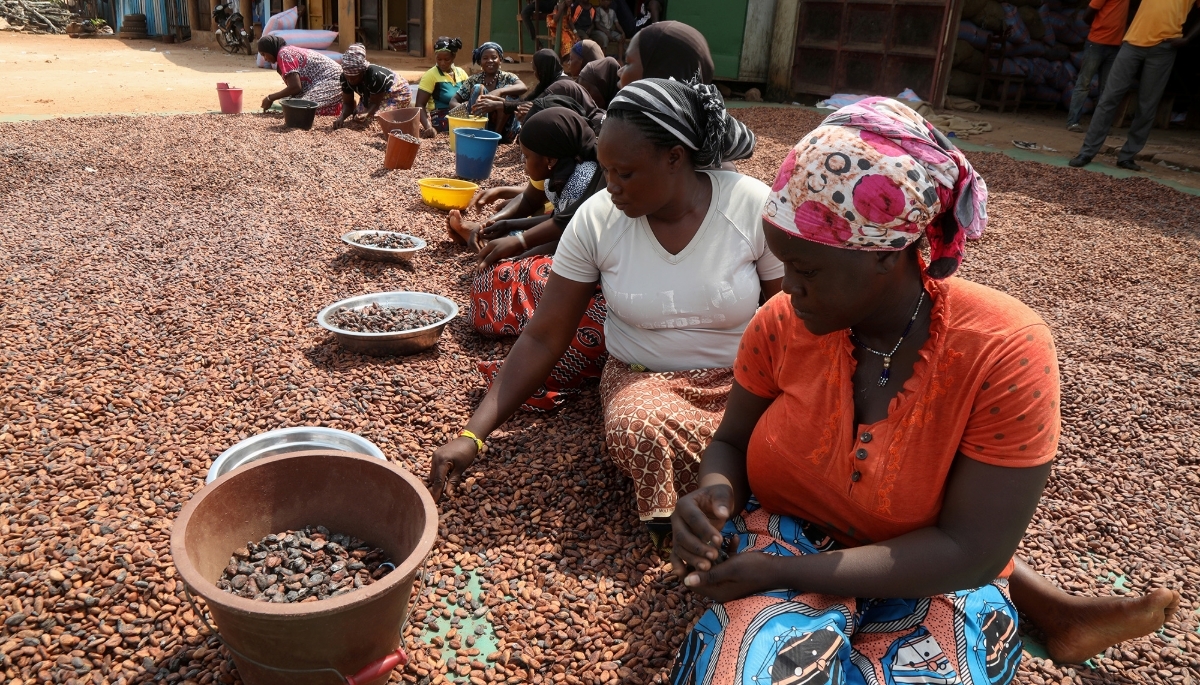 Cocoa bean sorting in Soubré in southwestern Ivory Coast, January 2021.