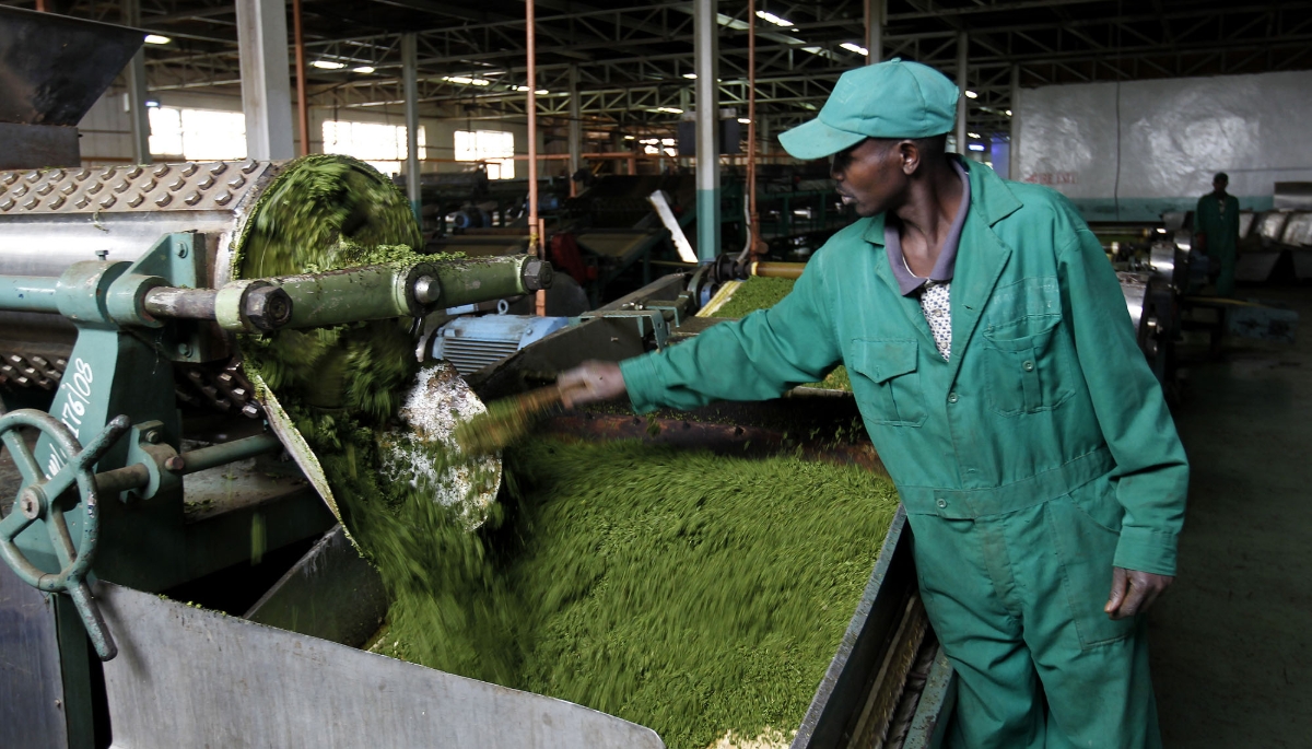 The Kagwe tea factory in Githunguri, near Nairobi, in 2021.