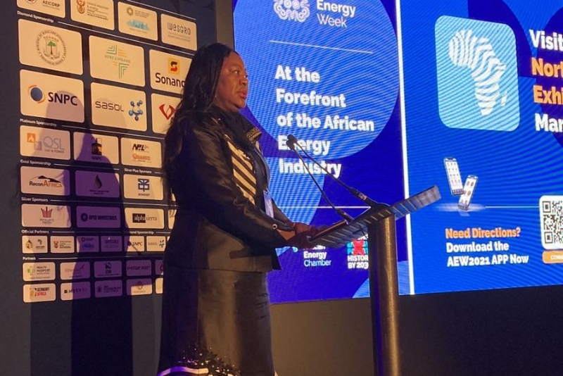 Odette Nzaba Makaya, CEO of Gabon Oil Company.