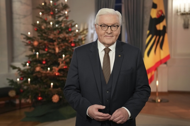 German Federal President Frank-Walter Steinmeier.