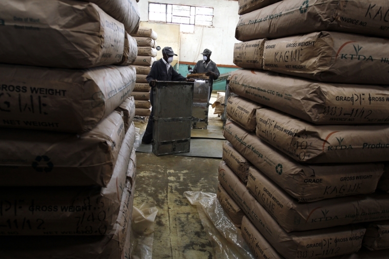 A tea production site in Githunguri, Kenya.