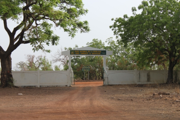 The Pendjari national park.