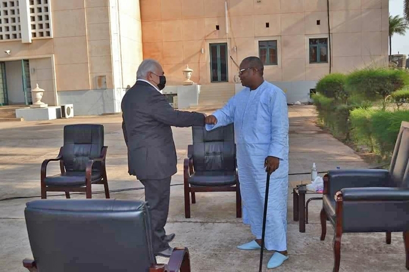 Meeting between Dominique Strauss-Kahn (left) and Guinea Bissau head of state Umaro Sissoco Embaló, Bissau, 15 January.