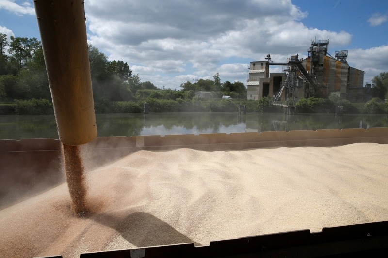 Wheat cargo loaded in northern France.