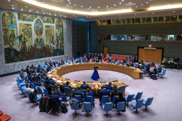 The UN Security Council.